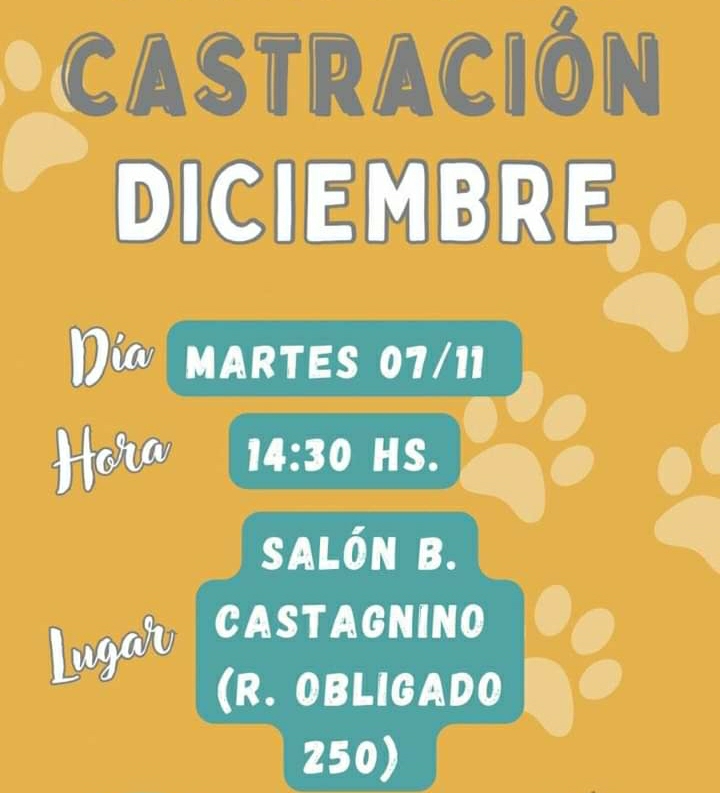 LA ASOCIACI&Oacute;N PROTECTORA OTORGA MA&Ntilde;ANA TURNOS DE CASTRACI&Oacute;N