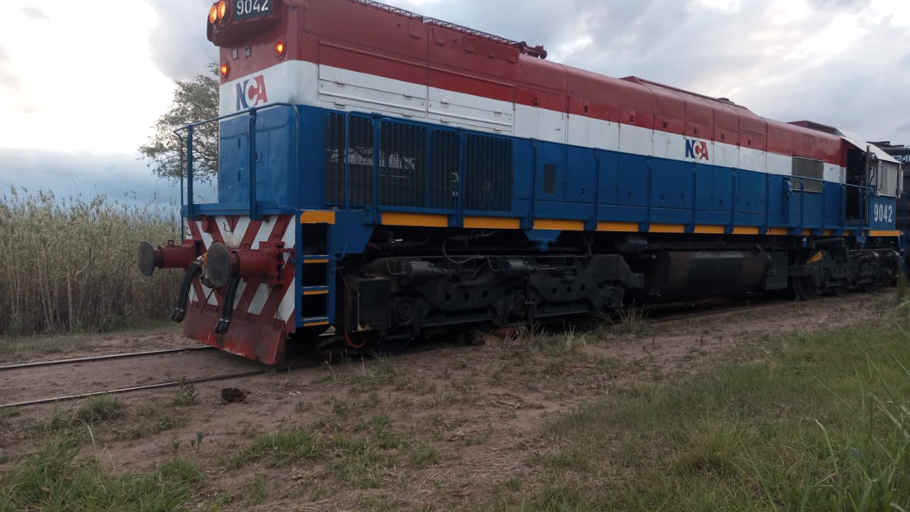PARTE POLICIAL: TREN ATROPELL&Oacute; Y MATO A CABALLO QUE ESTABA ATADO EN LAS V&Iacute;AS 
