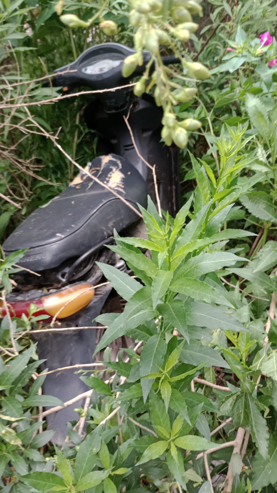 PARTE POLICIAL: HALLAZGO DE MOTOCICLETA CON PEDIDO SECUESTRO