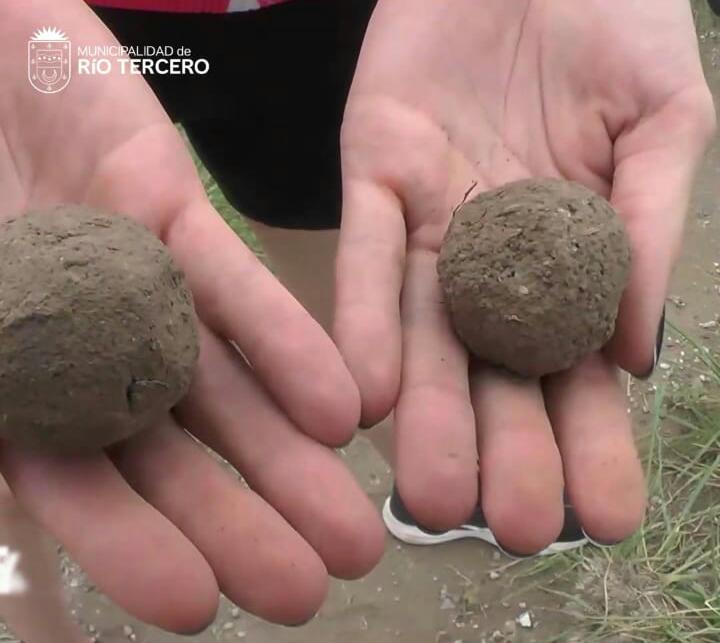 Diego Paulus (Secretario de Asuntos vecinales):&ldquo;Es algo nuevo e innovador para la ciudad, fueron realizadas en el vivero municipal"