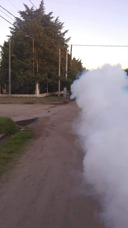 COMIENZA MA&Ntilde;ANA LA FUMIGACION CONTRA EL DENGUE