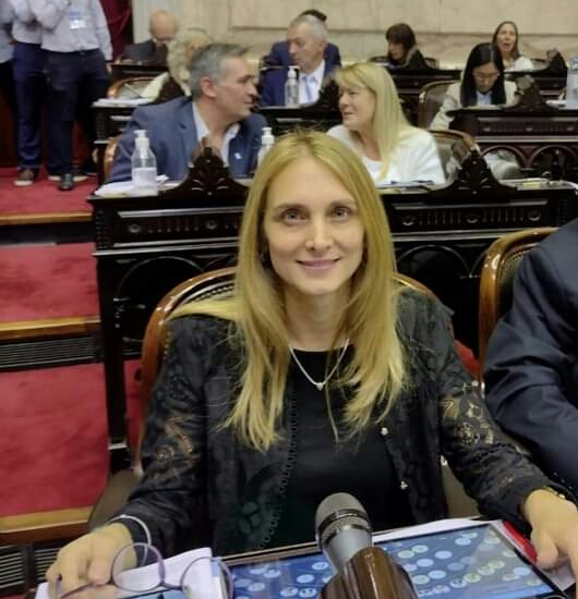 GABRIELA BROUWER: EL PROYECTO DEL PRESUPUESTO ERA IRRACIONAL Y BOCHORNOSO