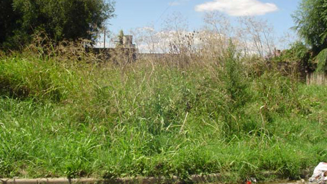 DAYHANA PALACIOS: LOS BALD&Iacute;OS Y VEREDAS SON RESPONSABILIDAD DE LOS PROPIETARIOS