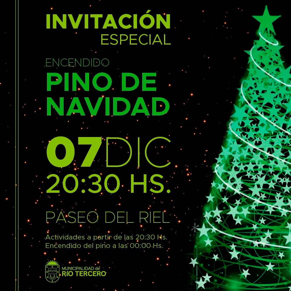 VEN&Iacute; A ENCENDER EL &Aacute;RBOL DE NAVIDAD!!! 