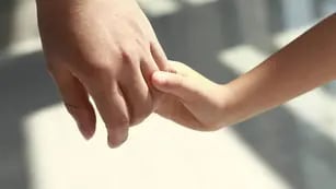 S&Aacute;NCHEZ TORASSA: CUANDO HAY NI&Ntilde;OS DE POR MEDIO SE DEBE SER MUY CUIDADOSO
