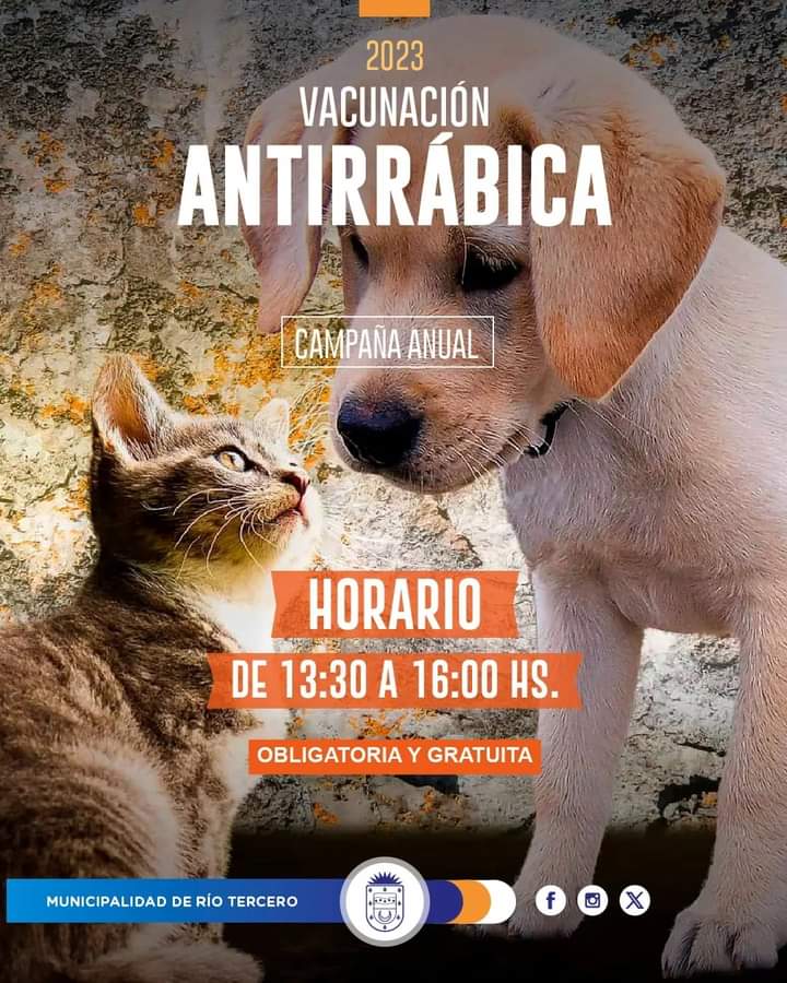 AC&Eacute;RCATE A VACUNAR A TU MASCOTA CONTRA LA RABIA: CRONOGRAMA DE ESTA SEMANA 