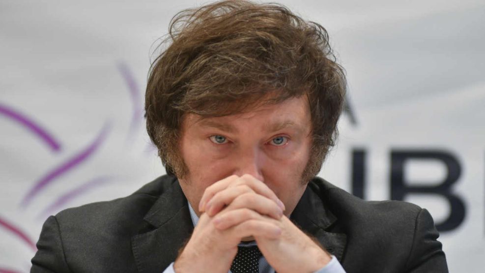 IGNACIO LIENDO: MILEI EST&Aacute; SIENDO USADO POR LOS GRANDES PODERES ECON&Oacute;MICOS PARA APROPIARSE DE ARGENTINA