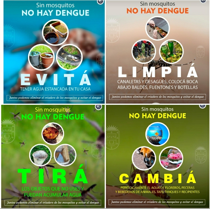 EVITEMOS EL DENGUE, FRENEMOS LA REPRODUCCI&Oacute;N DEL AEDES AEGYPTI