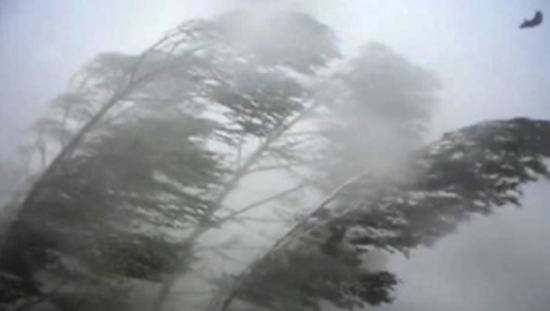 El municipio informó que hubo ráfagas de viento de hasta 100 km/h