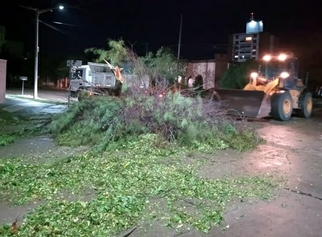Setenta árboles y cuarenta postes caídos más voladuras de techos es lo que dejó hasta ahora la tormenta